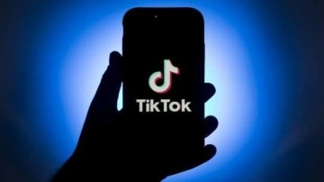 Belçika'da kamu çalışanlarına TikTok yasağı