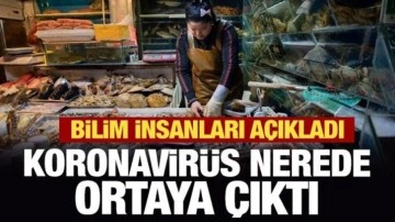 Bilim insanları açıkladı: Koronavirüs nerede ortaya çıktı?