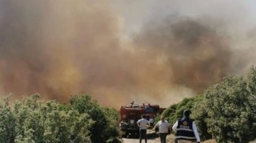 Bir orman yangını haberi daha! Rüzgar nedeni iler alevler yayıldı
