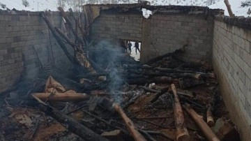Bitlis'te ahırda yangın çıktı. 115 küçükbaş hayvan öldü