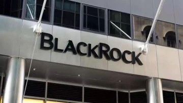 BlackRock'tan dev satın alma