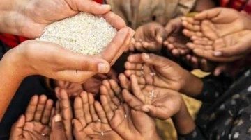 BM'den gıda krizine karşı kritik uyarı