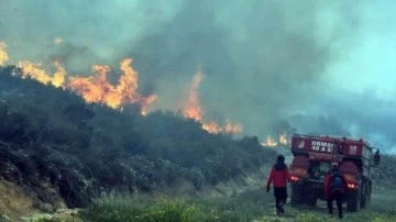 Bodrum'da korkutan yangın: Sabotaj ihtimali var