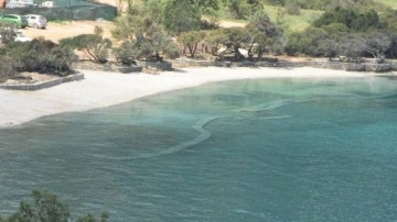 Bodrum'da sahile beyaz kum döken firmaya işlem