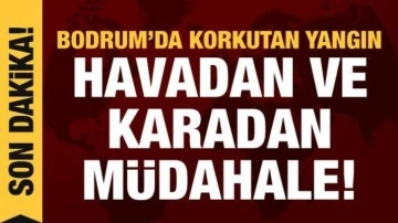 Bodrum'da yangın: Havadan ve karadan müdahale başladı