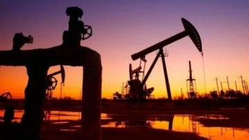 Brent petrolün varil fiyatı 117,31 dolar