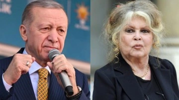 Brigitte Bardot'tan Erdoğan'a sokak köpekleri çağrısı
