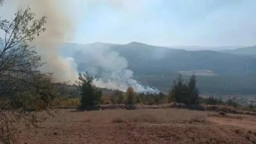 Bursa'nın 2 ilçesinde orman yangını