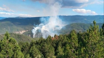Çankırı'da çıkan orman yangınında 35 dekar alan zarar gördü