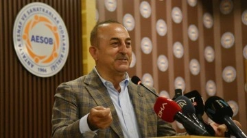 Çavuşoğlu duyurdu: Operasyonla çıkardık!