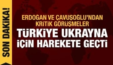 Çavuşoğlu Lavrov'la, Erdoğan Zelenskiy'le görüştü: Ateşkes için bastırıyoruz