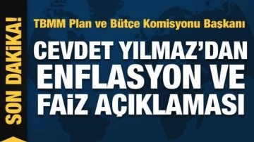 Cevdet Yılmaz'dan enflasyon ve faiz açıklaması