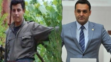 CHP'den çifte skandal: Gazeteci değil terörist, hayvansever değil lisanslı avcı!