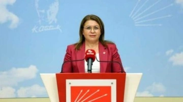 CHP'den yıkım vaadi: Nükleer enerji santrallerini iptal edeceğiz