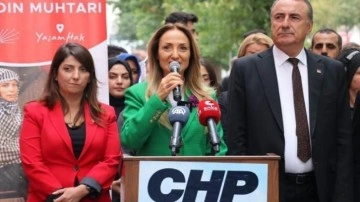 CHP'li Aylin Nazlıaka yayın yasağından rahatsız oldu