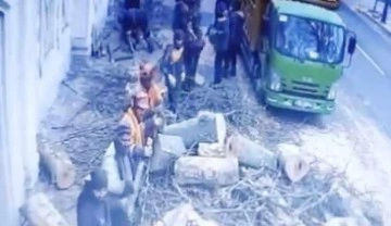 CHP'li İBB'nin Çırağan'daki ağaç katliamının görüntüleri ortaya çıktı!