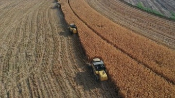 Çiftçilere bugün 323,7 milyon lira tarımsal destekleme ödemesi yapılacak