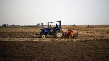 Çin'de buğday karşılığı konut kampanyası