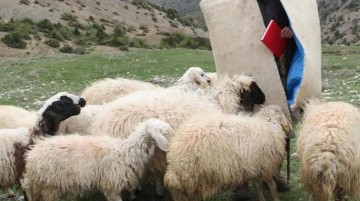 Çoban, dağda koyunlarını otlattığı sırada kafasından vurulmuş 13 yaşında çocuk buldu