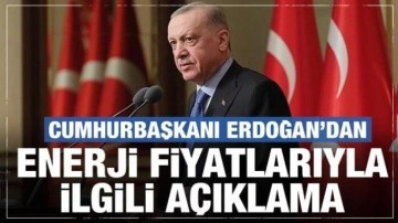 Cumhrubaşkanı Erdoğan'dan enerji fiyatlarıyla ilgili açıklama