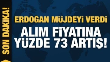 Cumhurbaşkanı Erdoğan açıkladı: Yaş çay alımına yüzde 73 artış