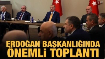 Cumhurbaşkanı Erdoğan, Ahlat'ta bölge valileriyle bir araya geldi