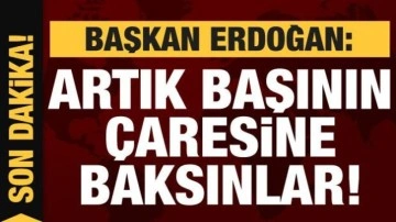 Cumhurbaşkanı Erdoğan: Artık başının çaresine baksınlar