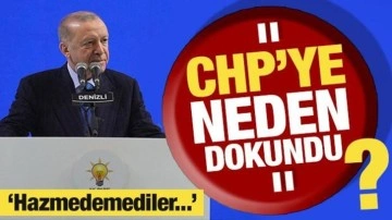 Cumhurbaşkanı Erdoğan'dan muhalefete tepki: Hazmedemediler!