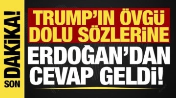 Cumhurbaşkanı Erdoğan'dan Trump'ın 'Türkiye' sözlerine cevap! 'Doğru söze n