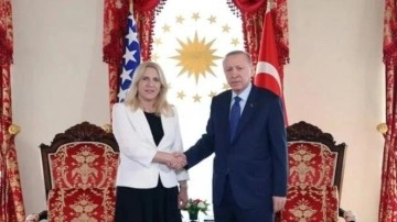 Cumhurbaşkanı Erdoğan, Jelka Sviyanoviç ile görüştü