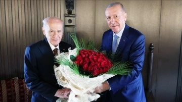 Cumhurbaşkanı Erdoğan, MHP Genel Başkanı Bahçeli ile görüştü