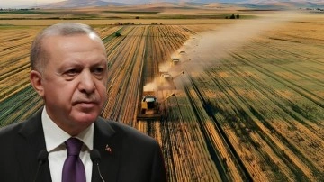 Cumhurbaşkanı Erdoğan müjdesini vermişti! Çiftçiye elektrik desteğinde detaylar netleşti