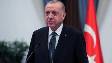 Cumhurbaşkanı Erdoğan'dan milli sporculara tebrik