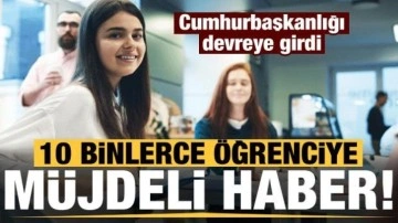 Cumhurbaşkanlığı devreye girdi, on binlerce öğrenciye 'staj' müjdesi!