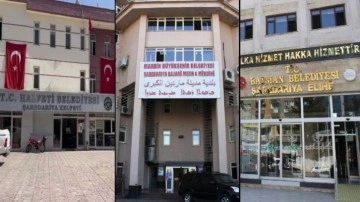 DEM Parti'li başkanlara kayyım kararına ilk yorum: 'Önlerinde 2 yol var...'