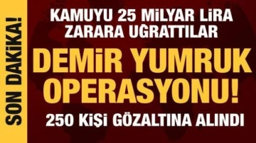 Demir Yumruk operasyonu: 250 şüpheli gözaltına alındı