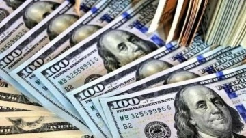 Dolar, Türk Lirası karşısında en yüksek seviyesini gördü