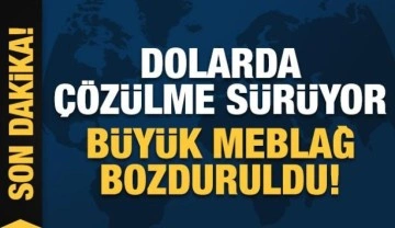 Dolarda çözülme sürüyor! 4,1 milyar dolar daha bozduruldu