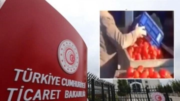 Domatesleri çöpe döken işletmeye ceza