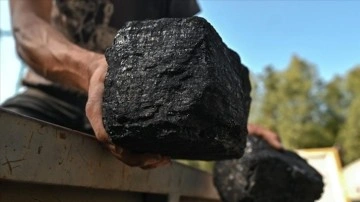 Dünya kömür talebinde iki yıl yatay seyir bekleniyor