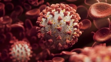 Dünya Sağlık Örgütü'nden endişelendiren Koronavirüs açıklaması