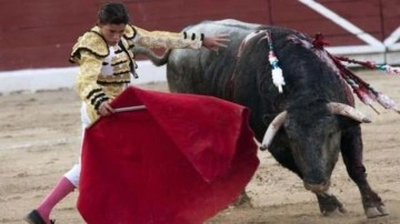 Dünyanın en büyük arenası La Plaza Mexico'da boğa güreşleri yasaklandı