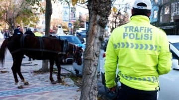 Edirne'de at şaşkınlığı! Kimse ne olduğunu anlayamadı