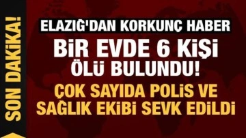 Elazığ'dan korkunç haber: Bir evde 6 kişi ölü bulundu!