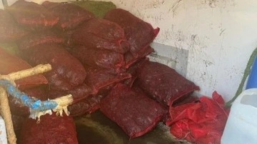 Eminönü'nde 1 tonluk kaçak midye yakalandı