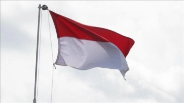 Endonezya, yatırım çekmek için "altın vize" programı başlattı