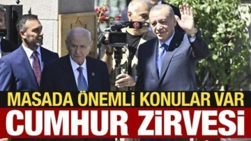 Erdoğan ile Bahçeli arasında kritik görüşme