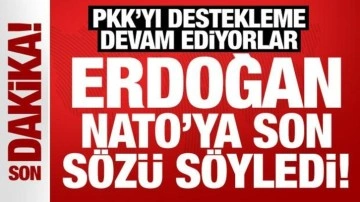 Erdoğan İsveç konusunda son sözü söyledi: Bundan sonrası parlamentoya ait!