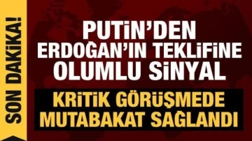 Erdoğan-Putin görüşmesinde anlaşma sağlandı! İlave uçak seferi yapılacak