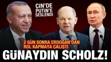 Erdoğan tahıl sorununu çözdü, Scholz iki gün sonra Putin'e çağrı yaptı